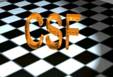 CSf lOGo by Meba