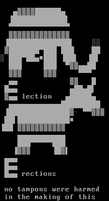 electionerection