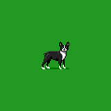 Boston Terrier by 8bit Poet